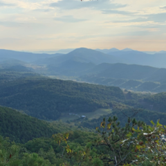 Hilly green mountainscape