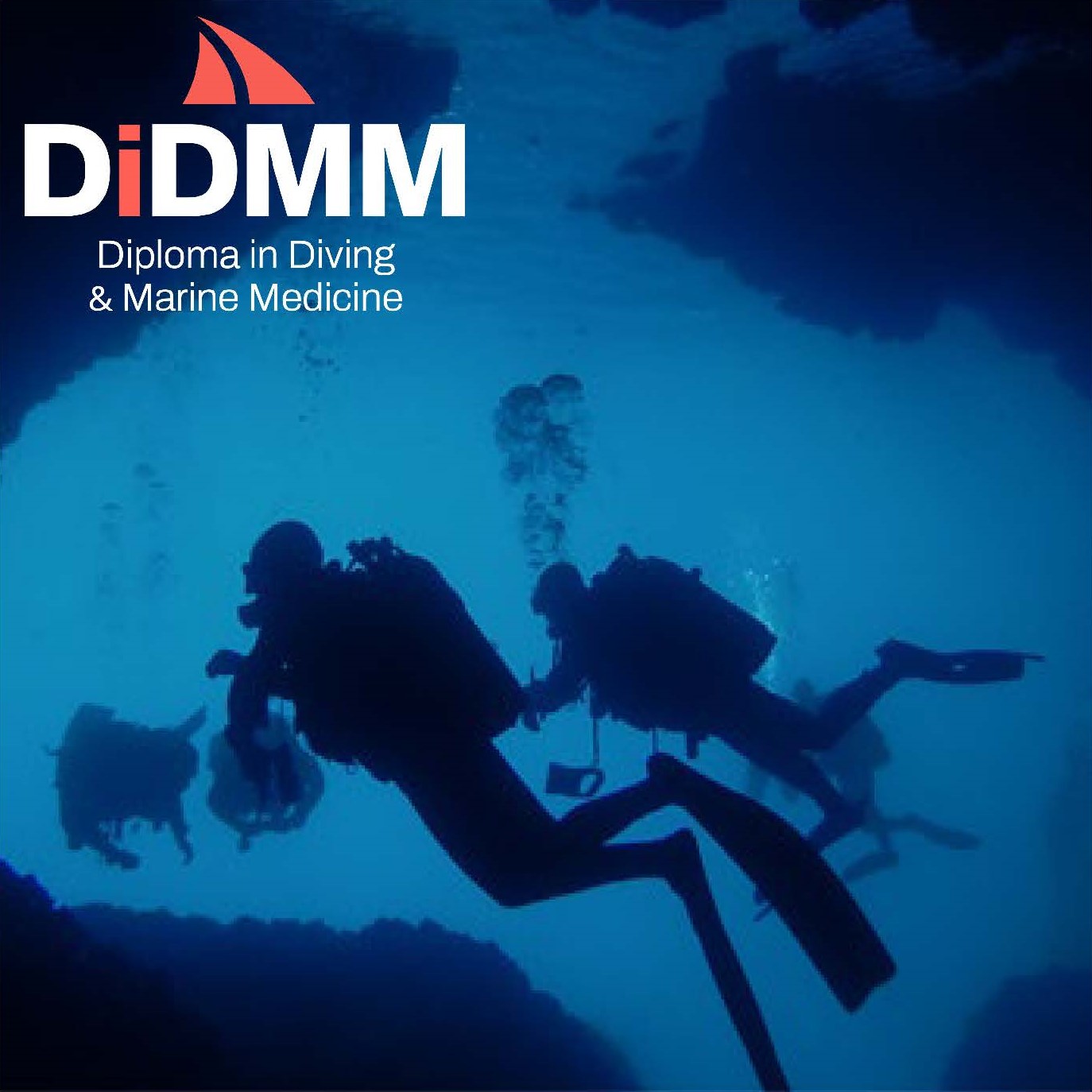 Divers in the Sea of Cortez