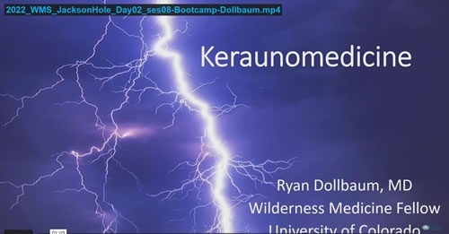 Lightning - Dollbaum, Ryan